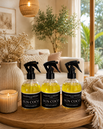 3 SPRAY sun coco 250ml